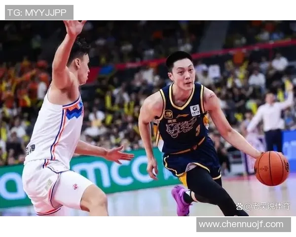 2010年广东与新疆总决赛精彩回顾与赛季分析