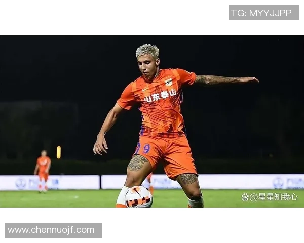 2010年申花与鲁能激战回顾:经典对决中的精彩瞬间与战术分析